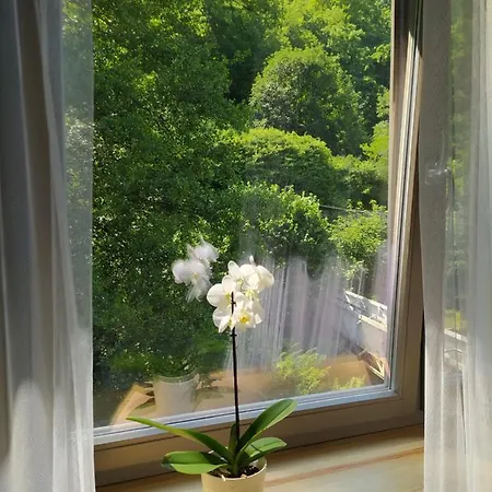 Pod Hradbami Apartment *