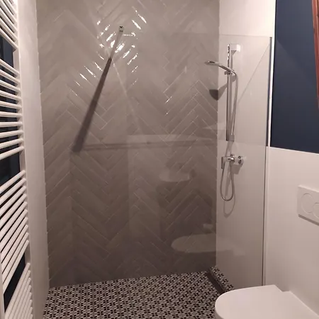 Pod Hradbami شقة *