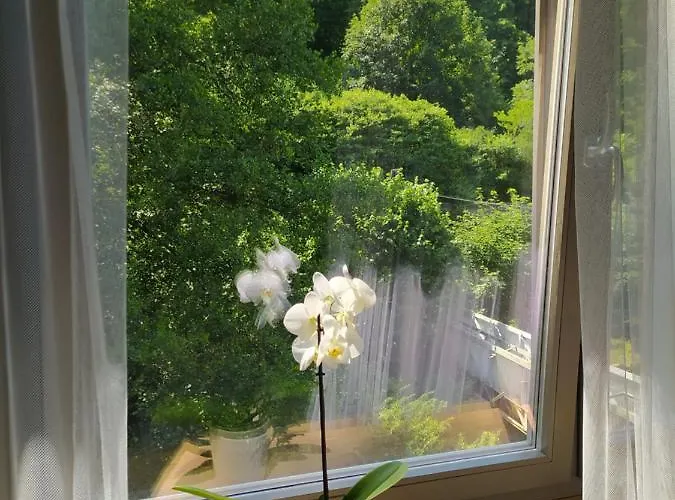 Pod Hradbami Apartman *